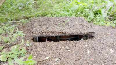 (hatch creaks open)
(ground cover rustles) - The Buildings That Fought Hitler