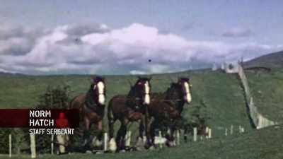 Hatch: ONCE THEY GOT OUT
INTO THE COUNTRYSIDE - The Pacific War in Color
