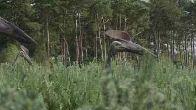 Hatzegopteryx
are very intelligent pterosaurs. - Prehistoric Planet