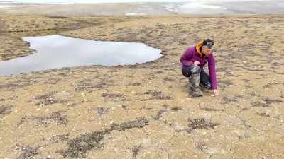 Haughton Crater is the
ideal place for Dr. Lanza - Tales From The Explorers Club