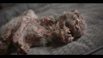 [haunting music]
[carcass sizzling] - AIMEE: The Visitor