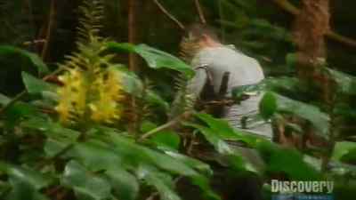 Have a fire
is very important. - Man vs. Wild