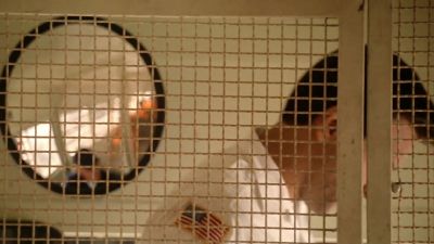 Have a nice trip. - Numb3rs