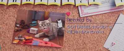 Have a wonderful day. - Gracie & Pedro: Pets to the Rescue