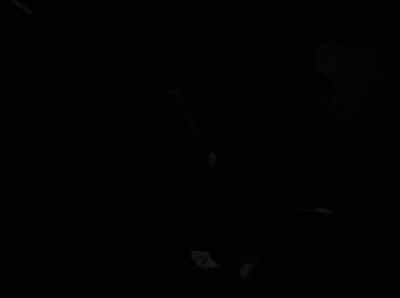 Have any luck?
Hmm? - Alfred Hitchcock Presents