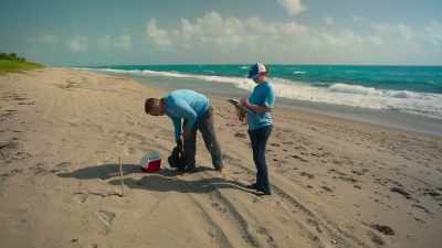 Have they been any more successful
with the beach to themselves? - The Year Earth Changed
