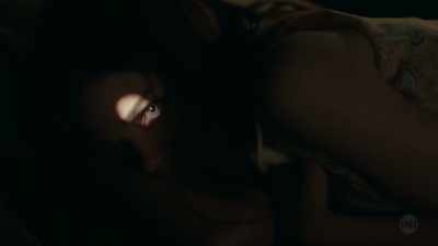 ...have been harassed
by brick-throwing Negroes - I Am the Night
