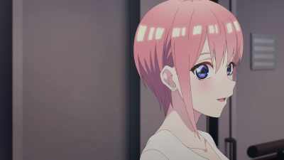 Have you done your work today, Futarou? - The Quintessential Quintuplets Movie
