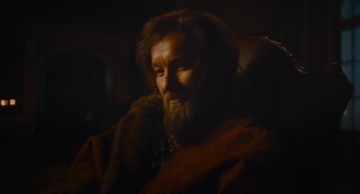 Have you ever seen a hawk kill a horse - The Green Knight