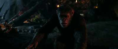 Have you found Cornelius yet? - War for the Planet of the Apes