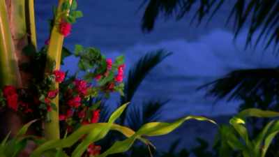 >> HAVE FUN. - Love Island