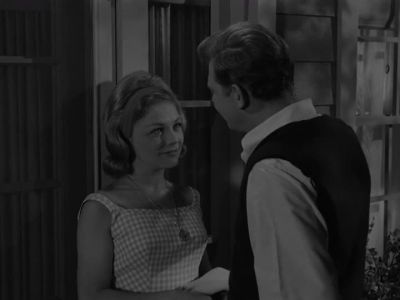 HAVE FUN? - The Andy Griffith Show