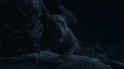 Have I ever told you
about my brother - The Lion King