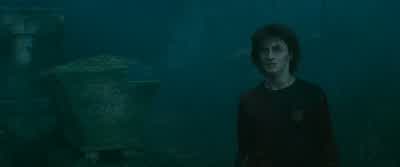 Have it your way. - Harry Potter and the Goblet of Fire