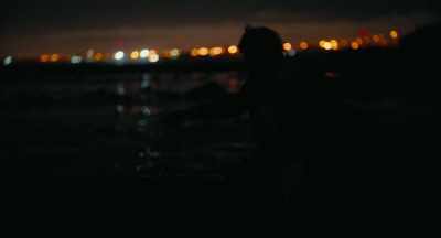 Have you lost your mind?
Are you waiting for him to come back? - Hounds