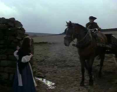 Have you seen Heathcliff? - Wuthering Heights