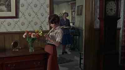 Have you seen Tess's meat?
Pardon? - The Deadly Bees