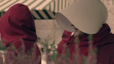 Have you seen the lilies? - The Handmaid's Tale