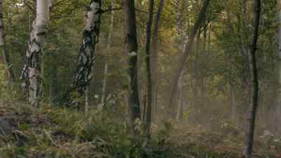 Have you seen this work? - The Musketeers