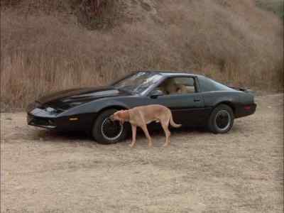 Have taken effect. - Knight Rider