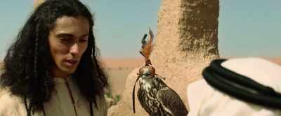 Have the eyes of the hawk, - Born a King