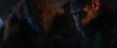 Have you found Cornelius yet? - War for the Planet of the Apes