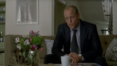 Have you... - True Detective
