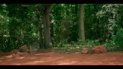 Have you seen Derek? - Stranger Things