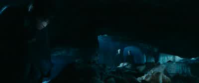Haven't I told you? - Harry Potter and the Chamber of Secrets