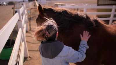 Having a bad day and hugging a horse - Take Your Pills: Xanax