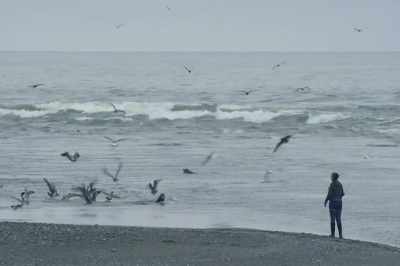 Having a wild river, - Artifishal