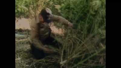 Having that additional
constant stress, - Sasquatch