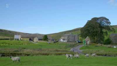 Having always lived at
Ravenseat Farm, - Our Yorkshire Farm