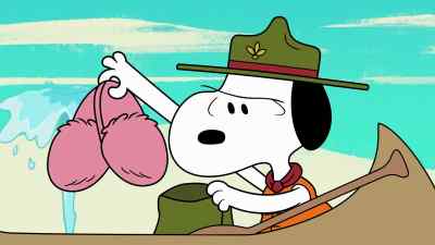 "Having assessed the situation, - Camp Snoopy