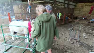 Having failed to win last year,
Clive's feeling the pressure - Our Yorkshire Farm