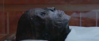 Having your father be
seen as a heretic king - Tutankhamun: Allies & Enemies