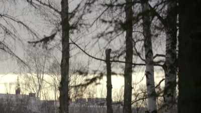 Having filmed documentaries
around the world, - An Unknown Compelling Force