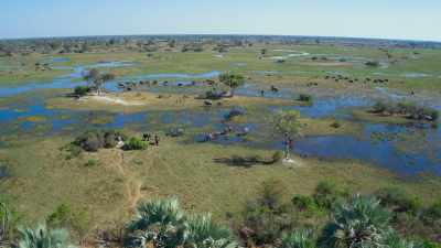 Having flown the great elephant
census and knowing what I do - In the Footsteps of Elephant