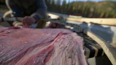 Having literally fought
for my life on occasion, - Life Below Zero: Next Generation