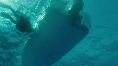 Having never filmed them before,
and with a serious reputation, - Sharkwater Extinction
