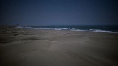 Having sheltered from the sun's heat all day, - Earth at Night in Color