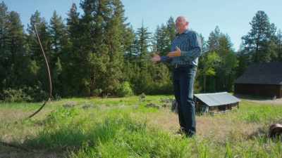 Having something - Restoring the Shack