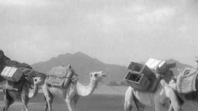 Having survived the desert
she observes the town - Tales From The Explorers Club