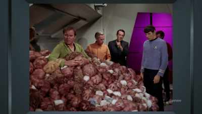 Having survived the kiss - The Center Seat: 55 Years of Star Trek