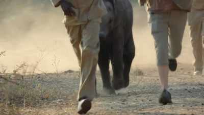 Having them together is perfect - In the Footsteps of Elephant
