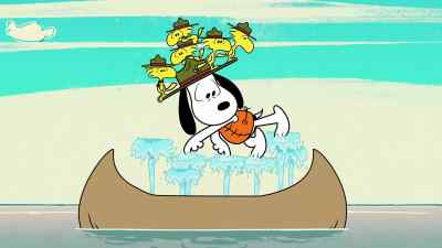 "Having tried multiple solutions - Camp Snoopy