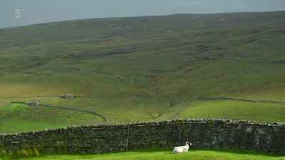 Having watched their eldest daughter
Raven leave for university, - Our Yorkshire Farm