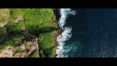 ♪ Hawaiian band playing "Jingle Bells" ♪ - WeWork: or The Making and Breaking of a $47 Billion Unicorn