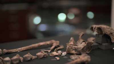 [HAWKS] Across the skeleton, - Unknown: Cave of Bones