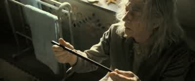 Hawthorn. - Harry Potter and the Deathly Hallows: Part 2